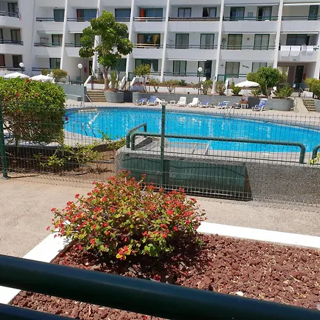 Casa Palmera 2 Mit Grosser Terrasse Apartment *